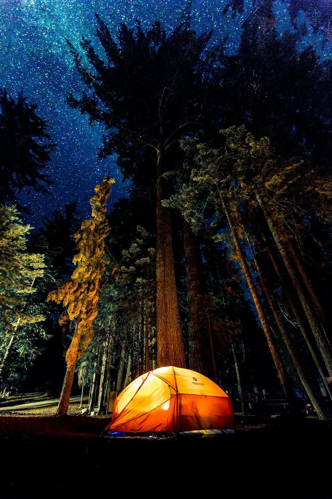 Lit-up tent in forest by Camping Checklist camping in forest during nightime